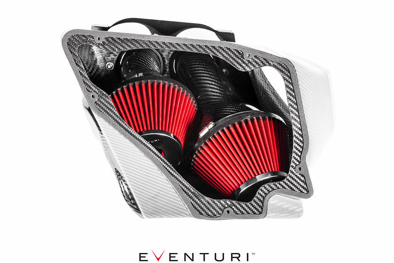 Eventuri Carbon Fibre Intake Audi RS6 RS7 C7