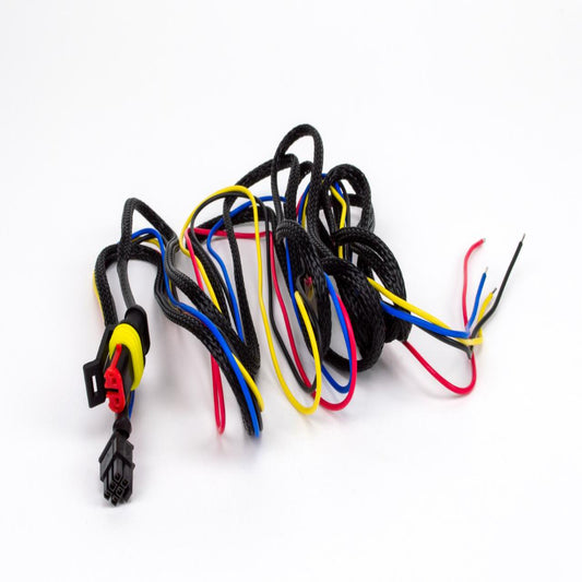 G-Force / D-Force Wiring Loom