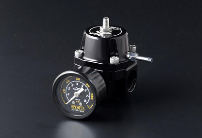 FX-D Fuel Pressure Regulator (-8AN Ports)